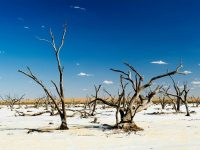 乾燥大陸・オーストラリアを取り巻く状況について