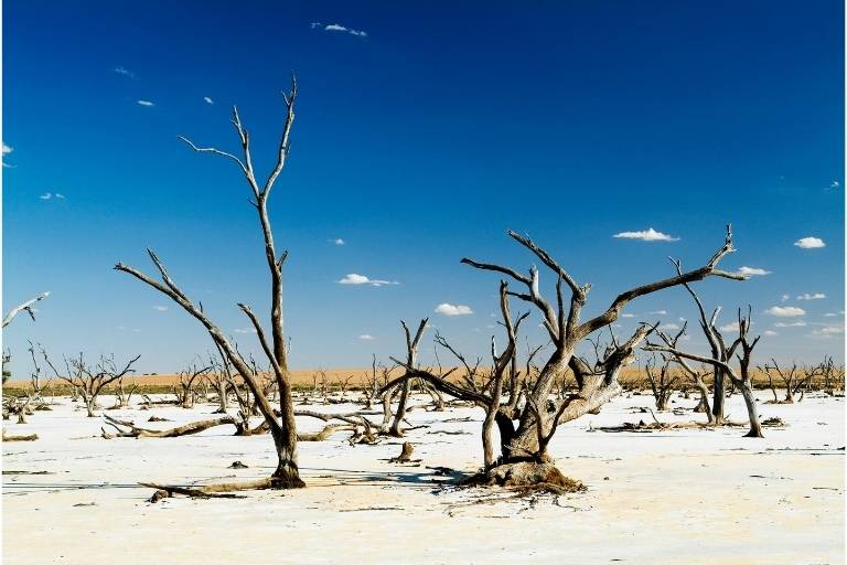 乾燥大陸 オーストラリアを取り巻く状況について Jams Tv オーストラリア生活情報ウェブサイト