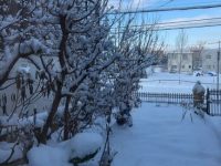 日本2021年1月　日常風景　～雪国編～