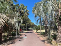 癒しの休日 in シドニー Jubilee Park