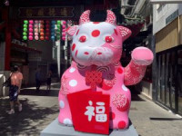 Happy Lunar New Year!　春節 in シドニー