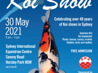 5月のシドニーイベント／錦鯉品評会「The Sydney Koi Show」開催