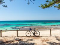 ロットネスト島☆家族で楽しむグランピング＆レンタルサイクル付