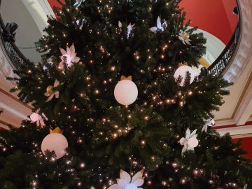 シドニーからメリークリスマス！