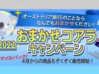 『おまかせコアラキャンペーン』3/16から実施！！