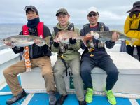 シドニー日本人釣りクラブ/5月度五目釣会を開催