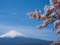 日本往復航空券も当たる！オーストラリアから行く日本旅行フェア