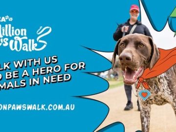 愛犬とウォーキングを楽しむRSPCAのチャリティーイベント