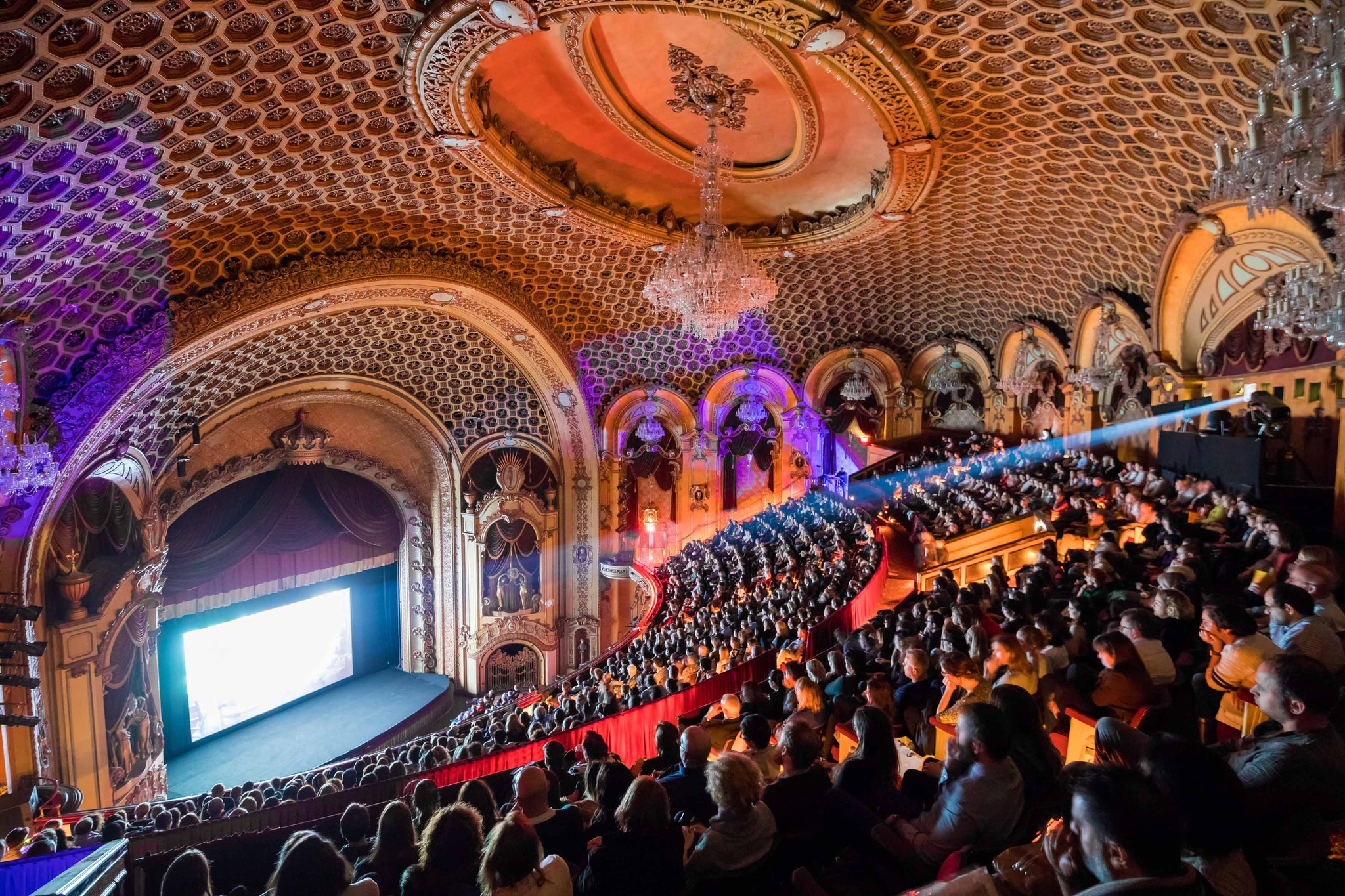 国内外の珠玉ラインナップが揃うシドニー映画祭が今年も開幕