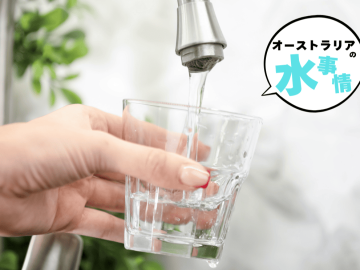 【オーストラリアの水事情】シャワーは5分？食器は流さない？