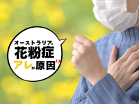 オーストラリアで花粉症になったら？薬局で買える市販薬3選と選び方