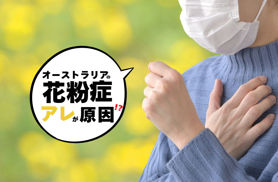 オーストラリアの花粉症対策