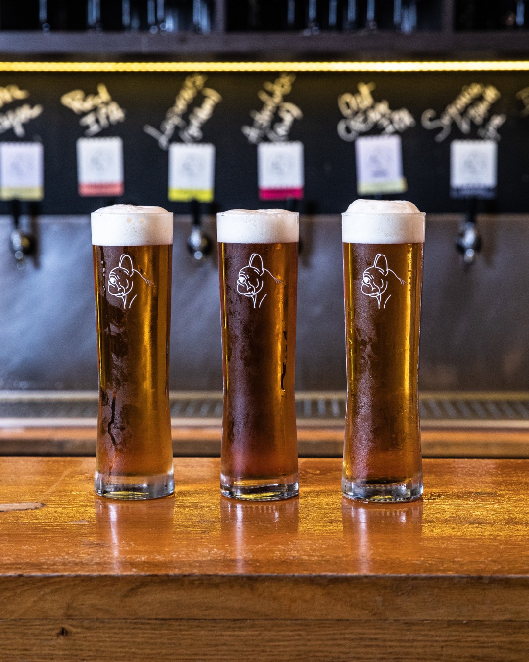フレッシュでホッピーなIPAビールのイベントが開催