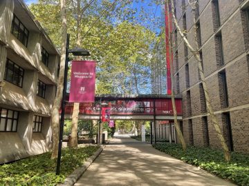 CPA会計資格を目指す！マッコーリー大学生にインタビュー