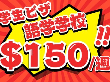 🖊語学学校　$1500～/3ヶ月