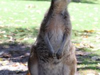 まさかこんなにスムーズに進むことができるとは思ってなかったです。