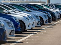 今週の在庫情報