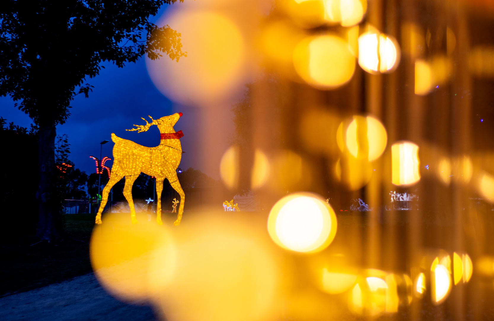 今年も開催中！ハンターバレーのクリスマスイルミネーション