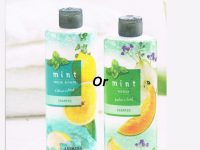 ❄️🌿 Mint Cooling