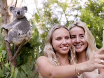 昼も夜も楽しめるカランビン動物園のHISプラン完全ナビ