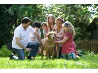 【2026年度】ホームステイ費用（自社手配）