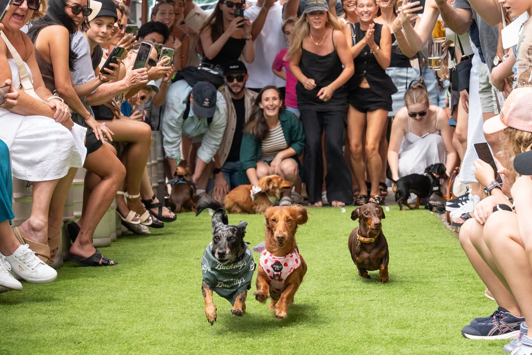 街ごと乾杯！ブルックベールで楽しむビアフェスティバル