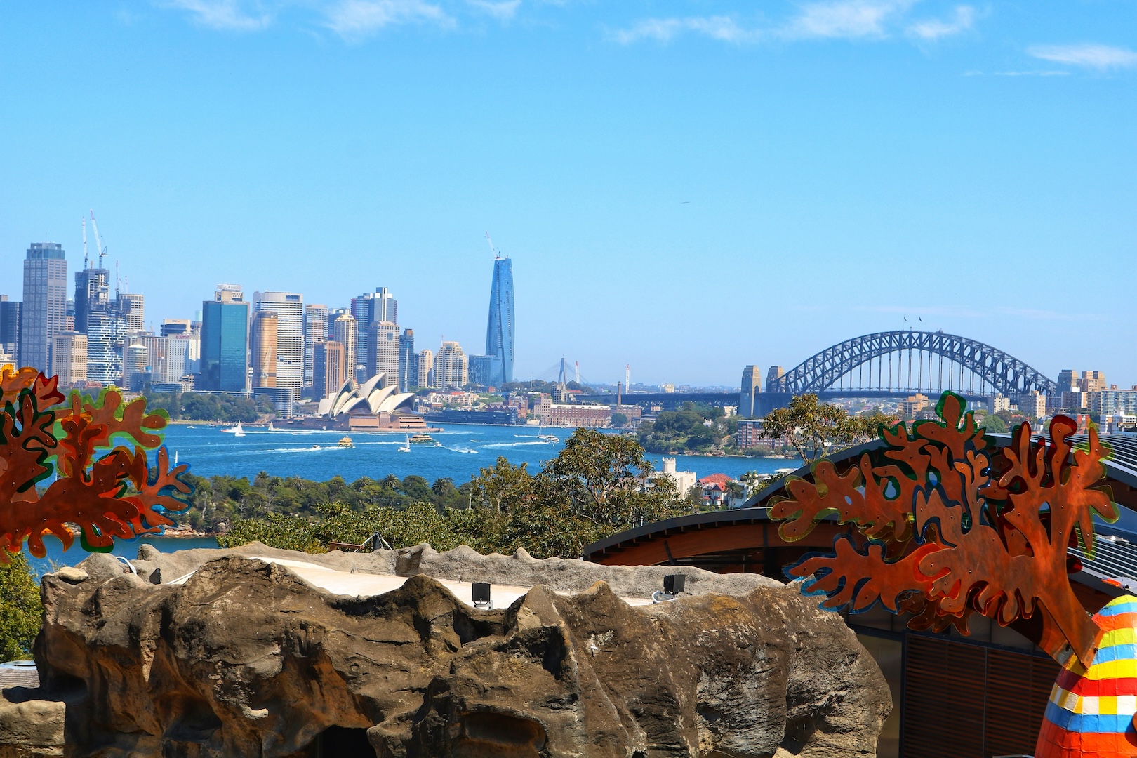 シドニー夏の風物詩、動物園で楽しむ野外コンサート