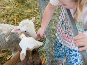 エッグハントも登場！家族で行きたいイースターイベント