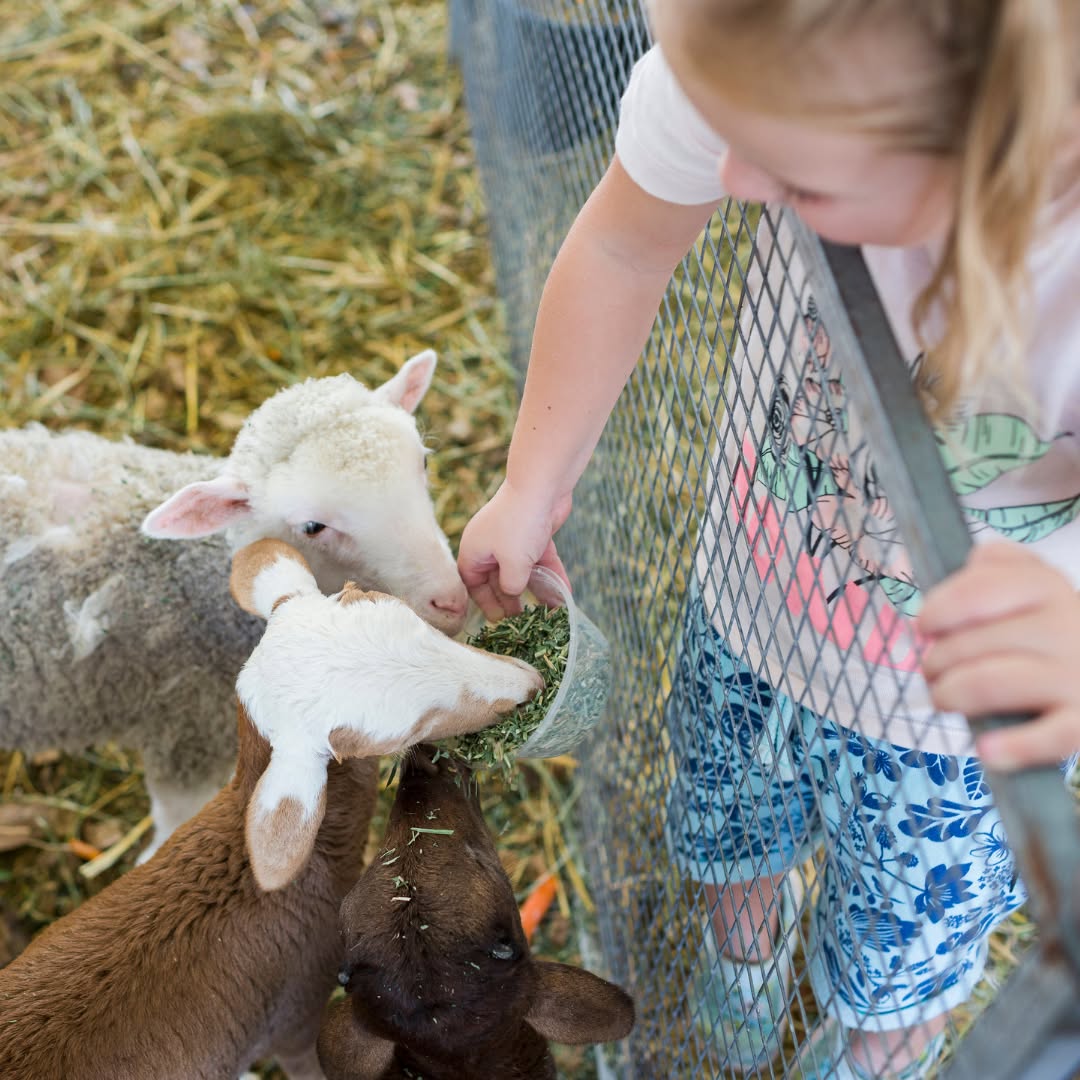エッグハントも登場！家族で行きたいイースターイベント