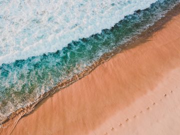 海を楽しむひと月！オーシャン・ラバーズ・フェスティバル