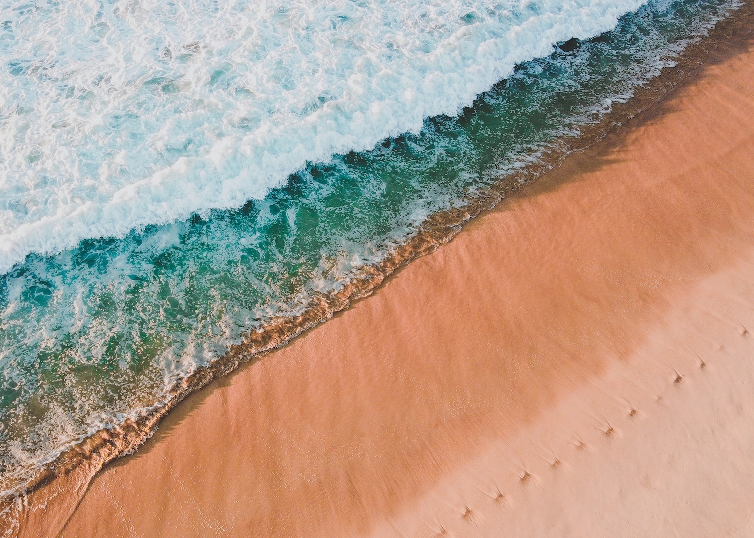 海を楽しむひと月！オーシャン・ラバーズ・フェスティバル