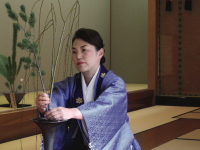 池坊いけばな30年の軌跡、100作品が彩る特別花展