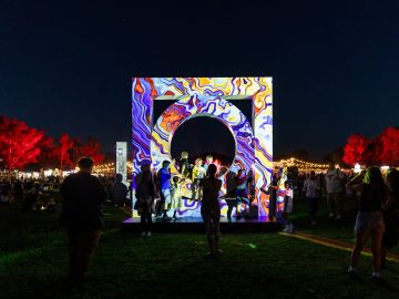 海辺の街フランクトンで楽しむ10日間のアートフェス