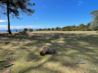 丁寧さはもちろんのこと、安心感と信頼感が何よりも大きかったです。